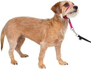Fashionable PetSafe Gentle Leader Headcollar, No-Pull Dog Collar – Perfect for Leash & Harness Training – Stops Pets from Pulling and Choking on Walks – Small, Raspberry Pink